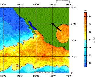Figure 8: Warm sea surface temperatures in the Gulf of America which can promote mid and upper level moisture transport into the Southwest.