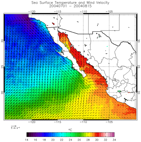 Mean sea surface temperatures (color) and mean surface wind, 1 July-15 August 2004. 