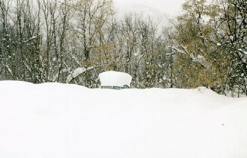 An outhouse buried under 5 feet of snow.