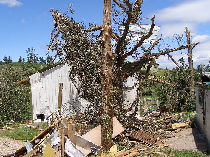 Tree and building damage