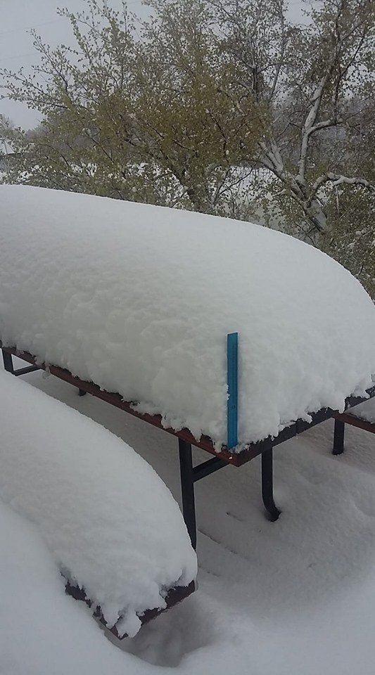 Over a foot of snow near Ardmore, SD