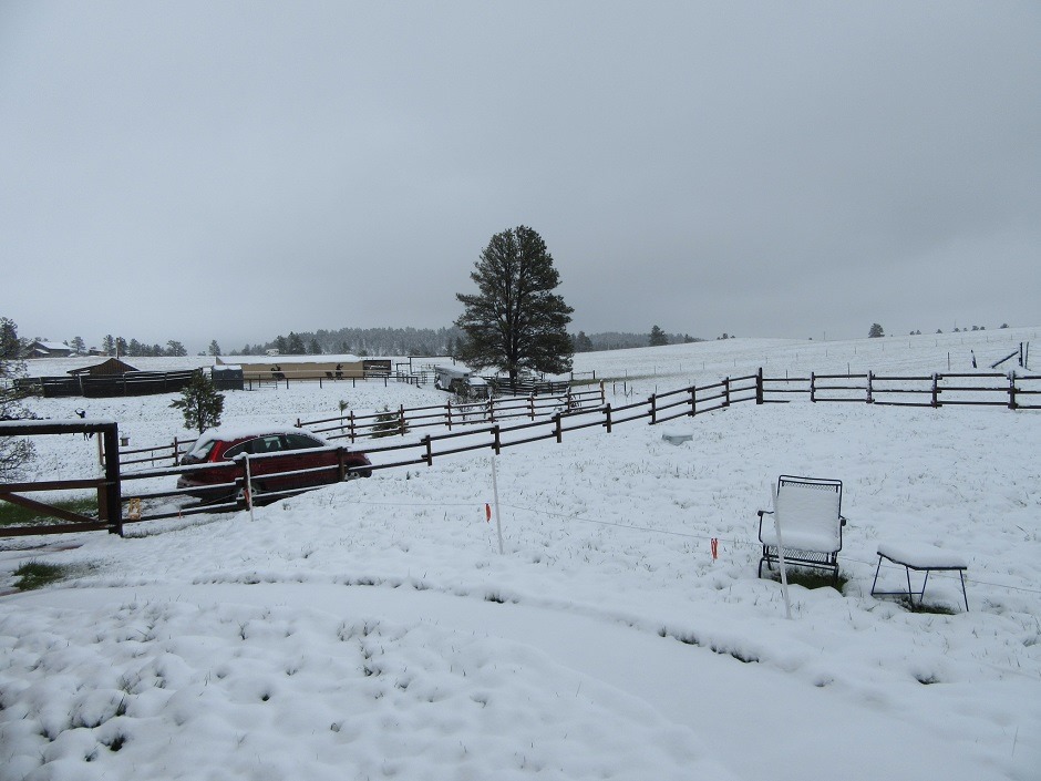 Snow near Devils Tower