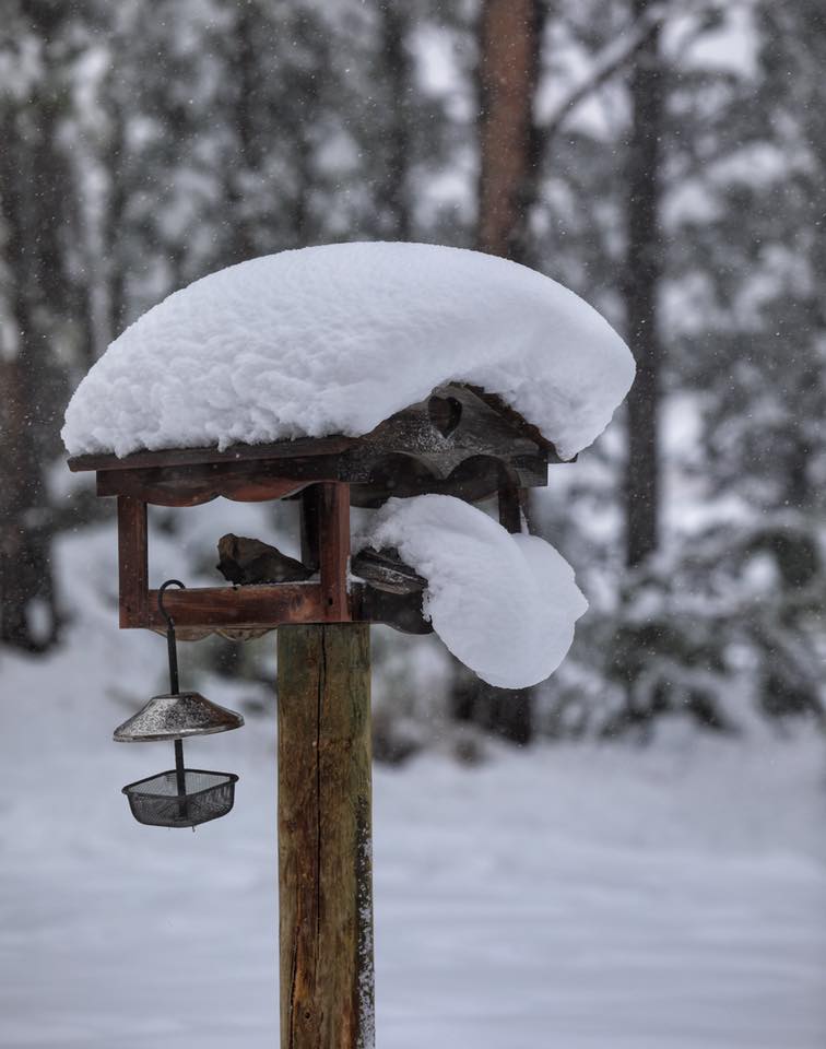 Custer birdhouse