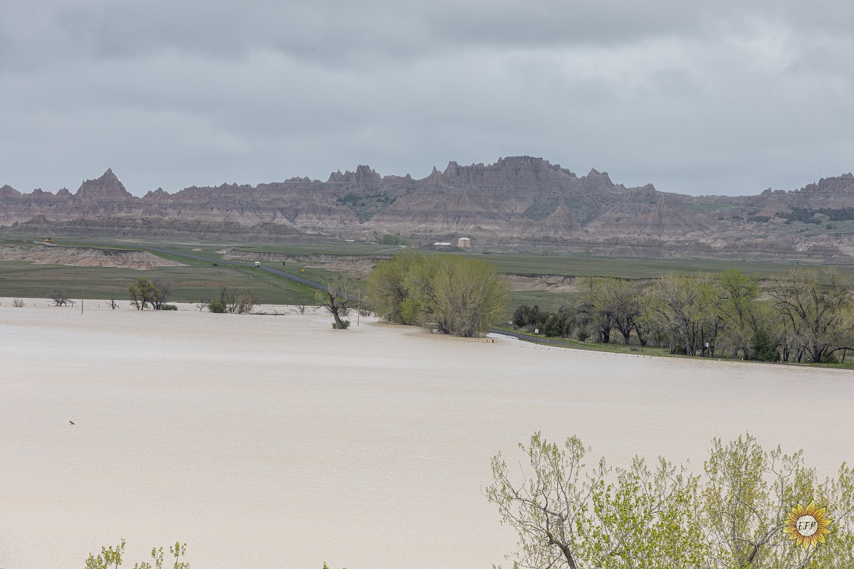 White River near Interior