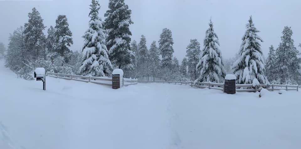 Snow near Spearfish