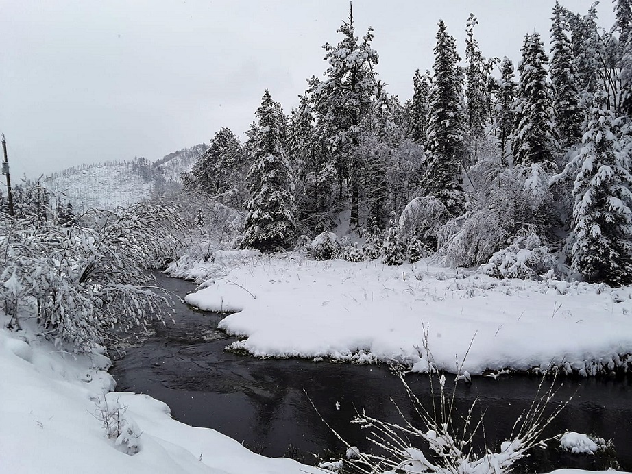 Spring Creek above Hill City