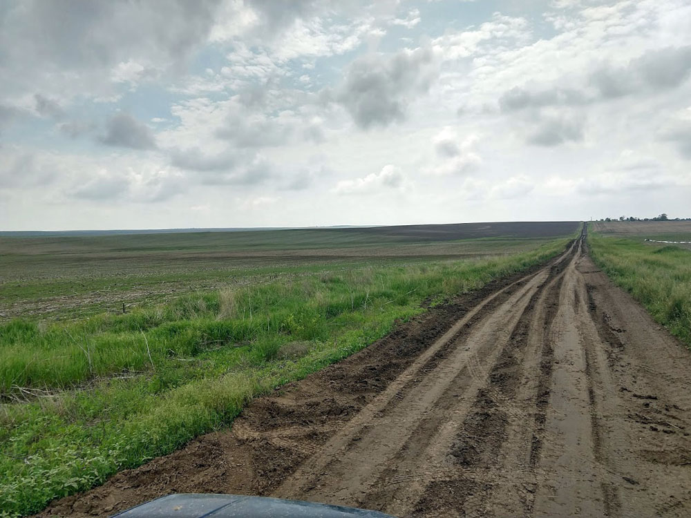 Tornado-Scoured Corn Field