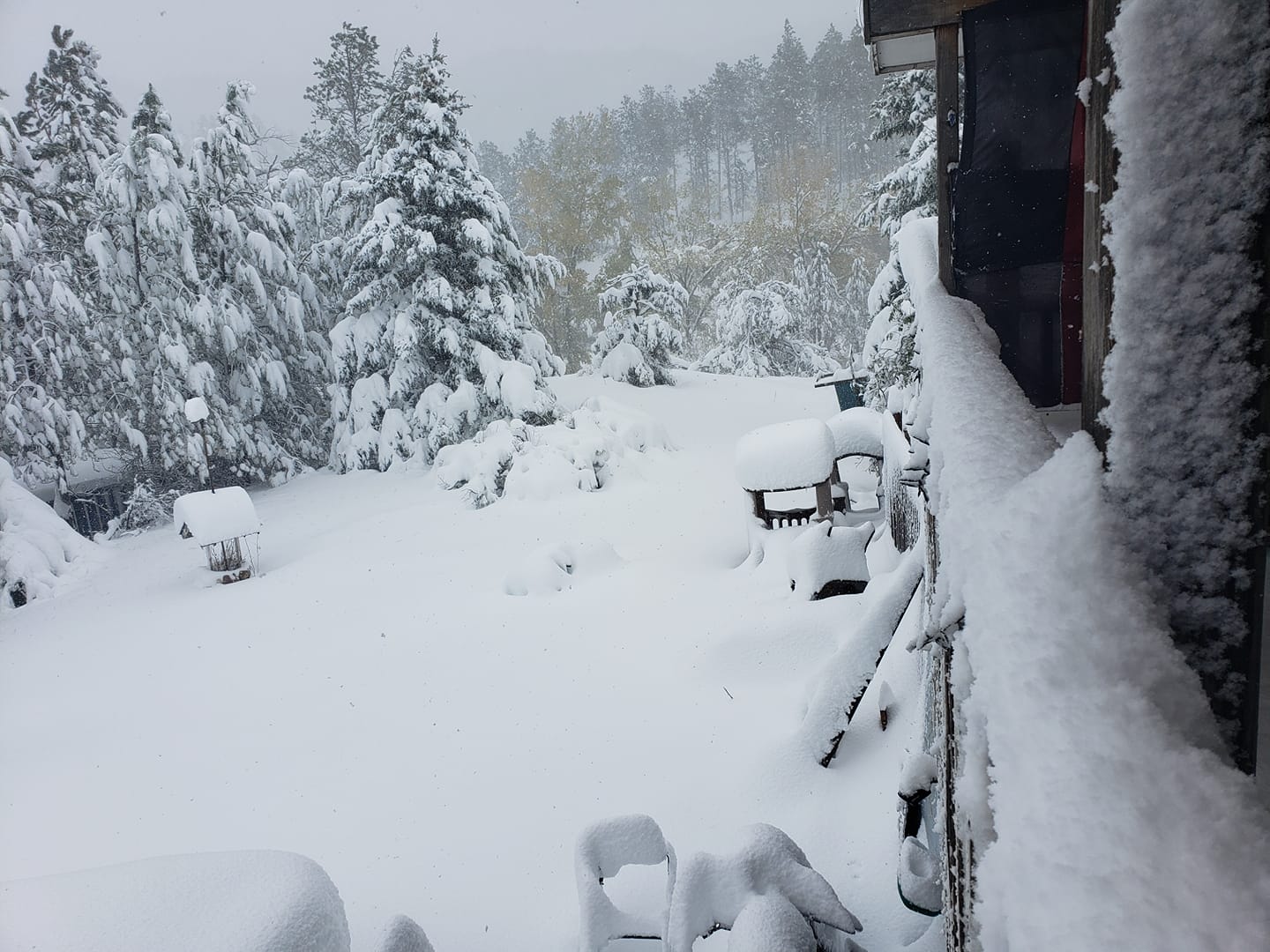 Heavy snow in Boulder Canyon