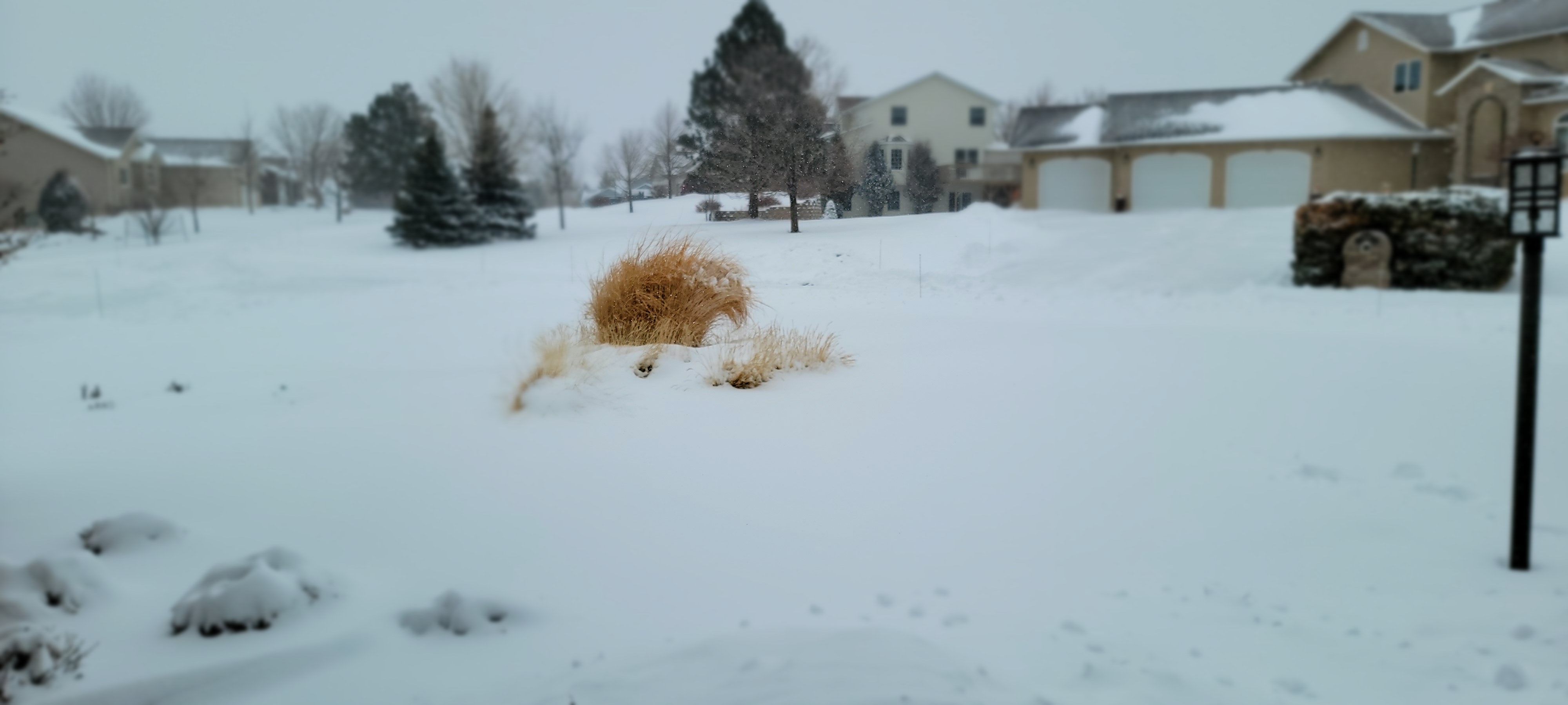 February 2122, 2023 Winter Storm & Extreme Cold