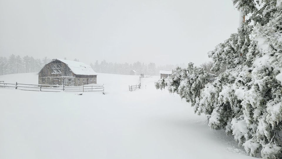 Deep snowcover on a ranch with a barn in the back