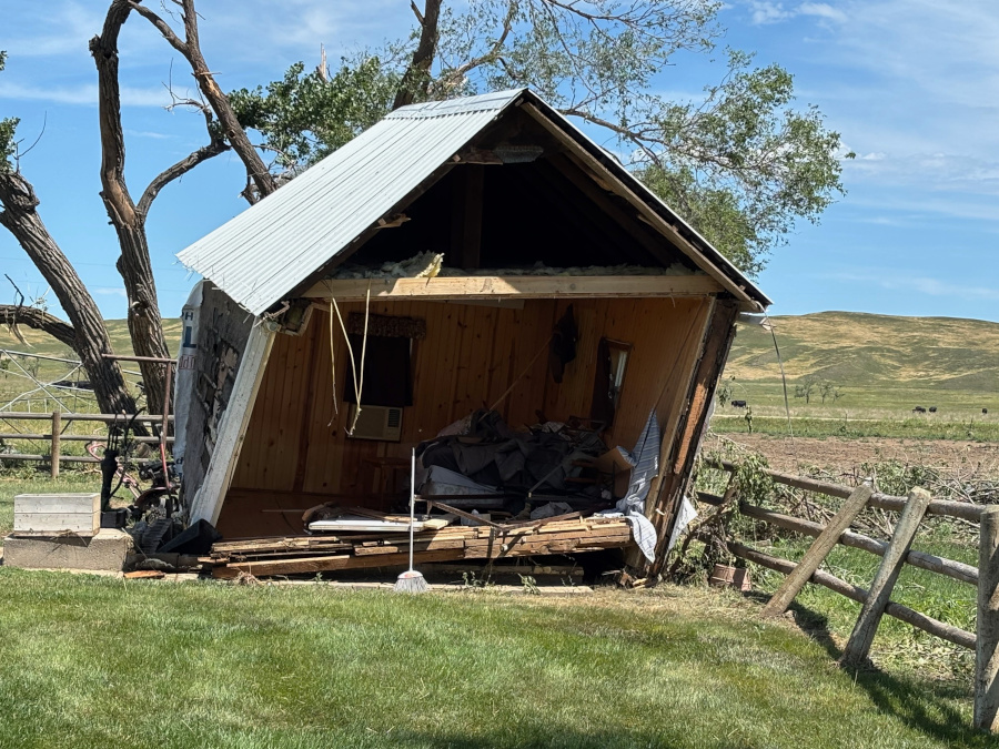 A small wooden building with a metal roof is tilted on its side, leaning against a tree. The front is torn open, revealing a pile of debris inside.