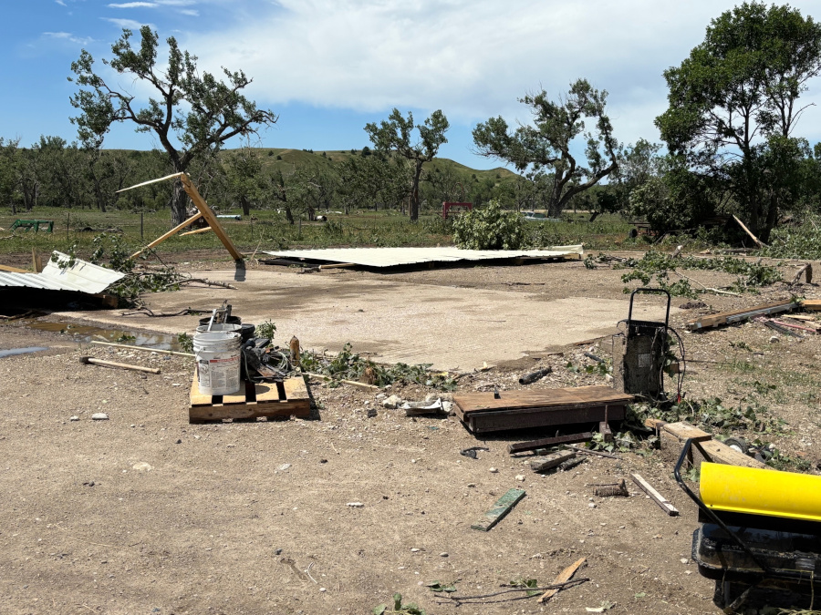 A concrete slab where a building was destroyed with tree damage