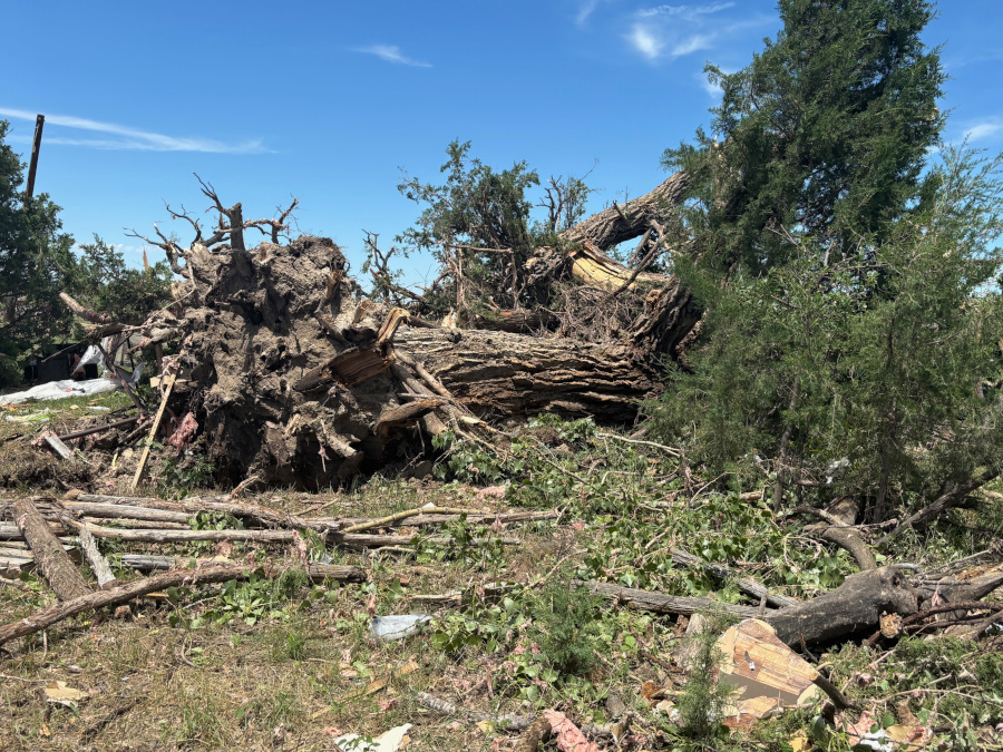 A large, uprooted tree with a broken trunk and branches lies on the ground. A red log splitter sits on the grass in the foreground.