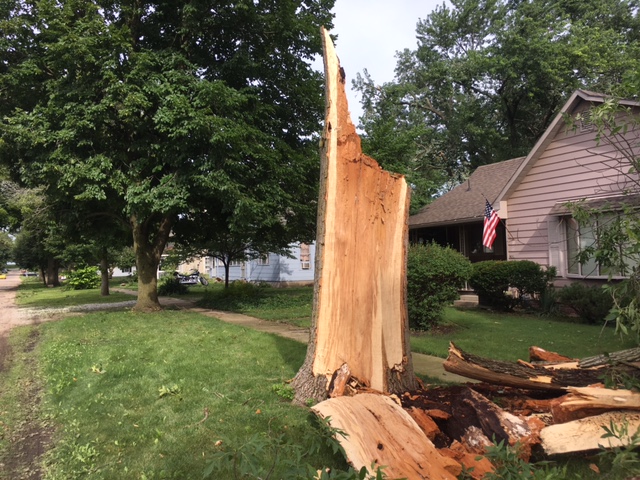 Champaign County Emergency Management 	