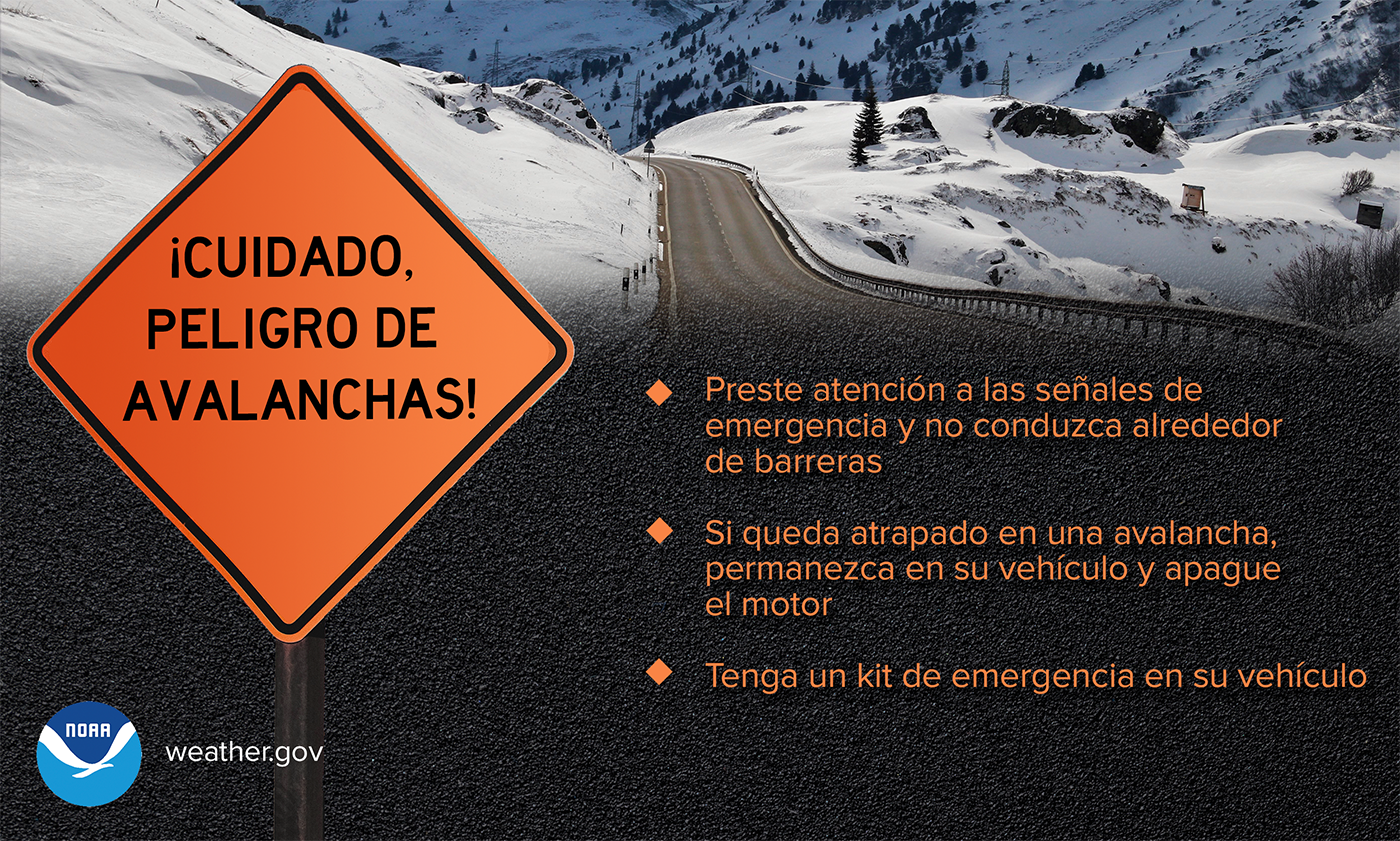 Avalanches while Driving (Spanish version)