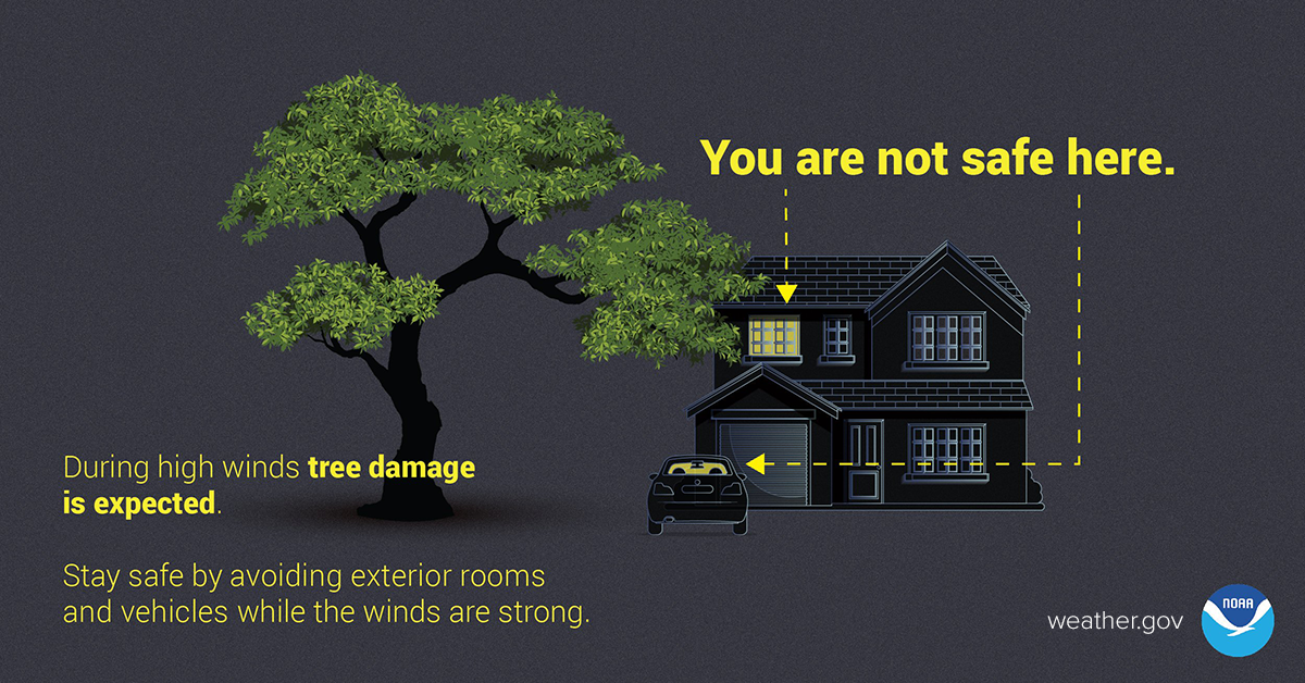 During high winds tree damage is expected. Stay safe by avoiding exterior rooms and vehicles while the winds are strong.