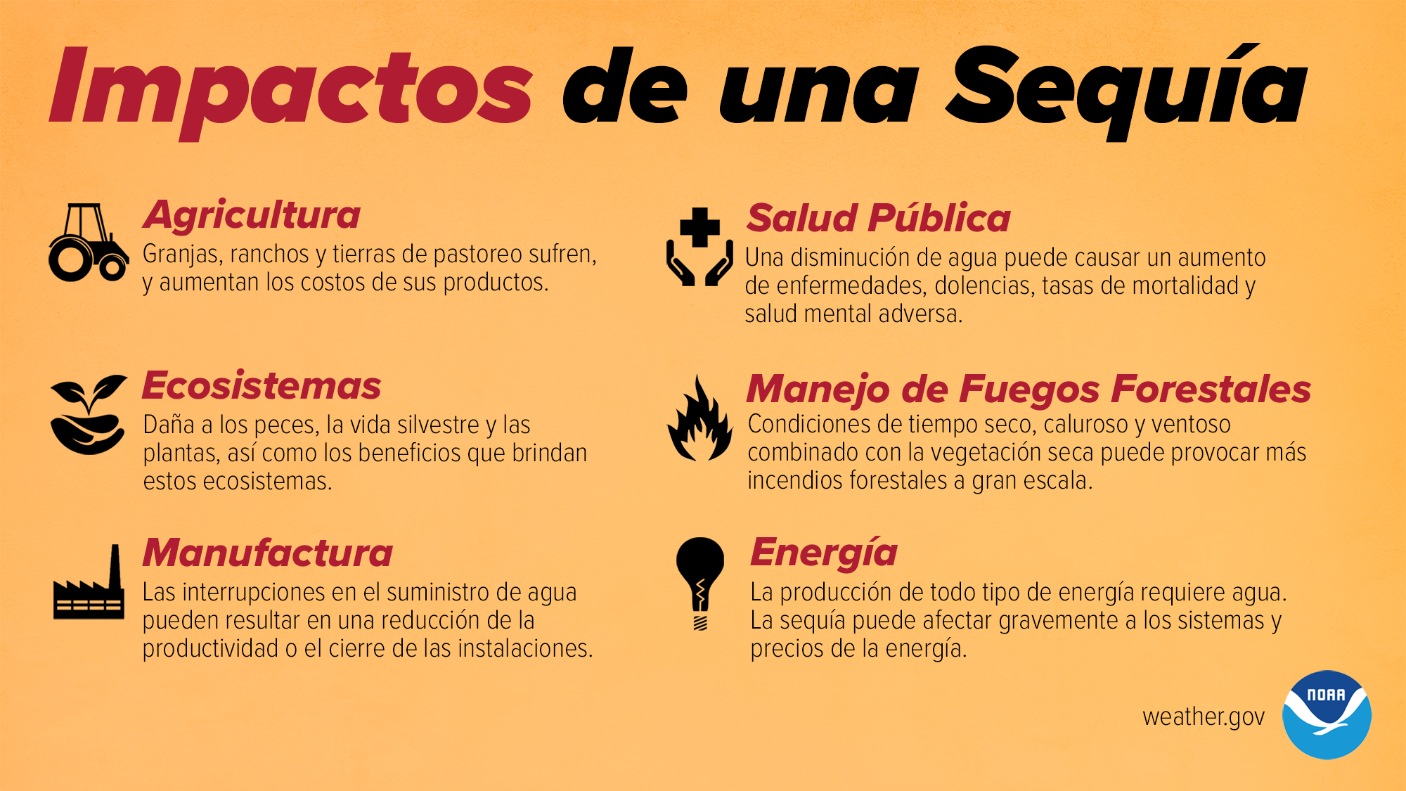 Humo de incendios forestales - Especiales CDC - CDC en Español