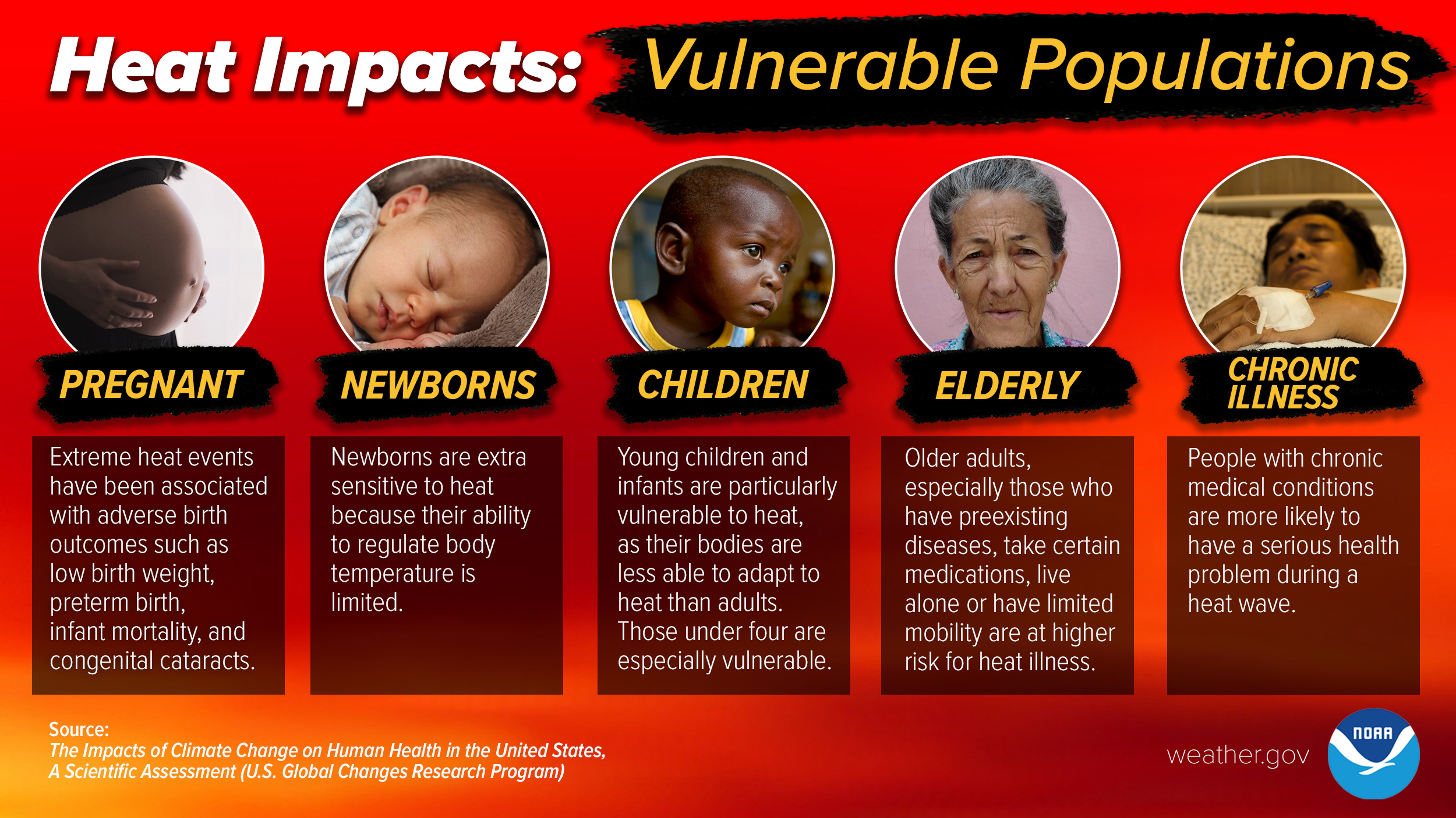 Heat Impacts on Vulnerable Populations. Pregnant: Extreme heat events have been associated with adverse birth outcomes such as low birth weight, preterm birth, infant mortality, and congenital cataracts. Newborns: Newborns are extra sensitive to heat because their ability to regulate body temperature is limited. Children: Young children and infants are particularly vulnerable to heat, as their bodies are less able to adapt to heat than adults. Those under four are especially vulnerable. Elderly: Older adults, especially those who have preexisting diseases, take certain medications, live alone or have limited mobility are at higher risk for heat illness. Chronic Illness: People with chronic medical conditions are more likely to have a serious health problem during a heat wave.