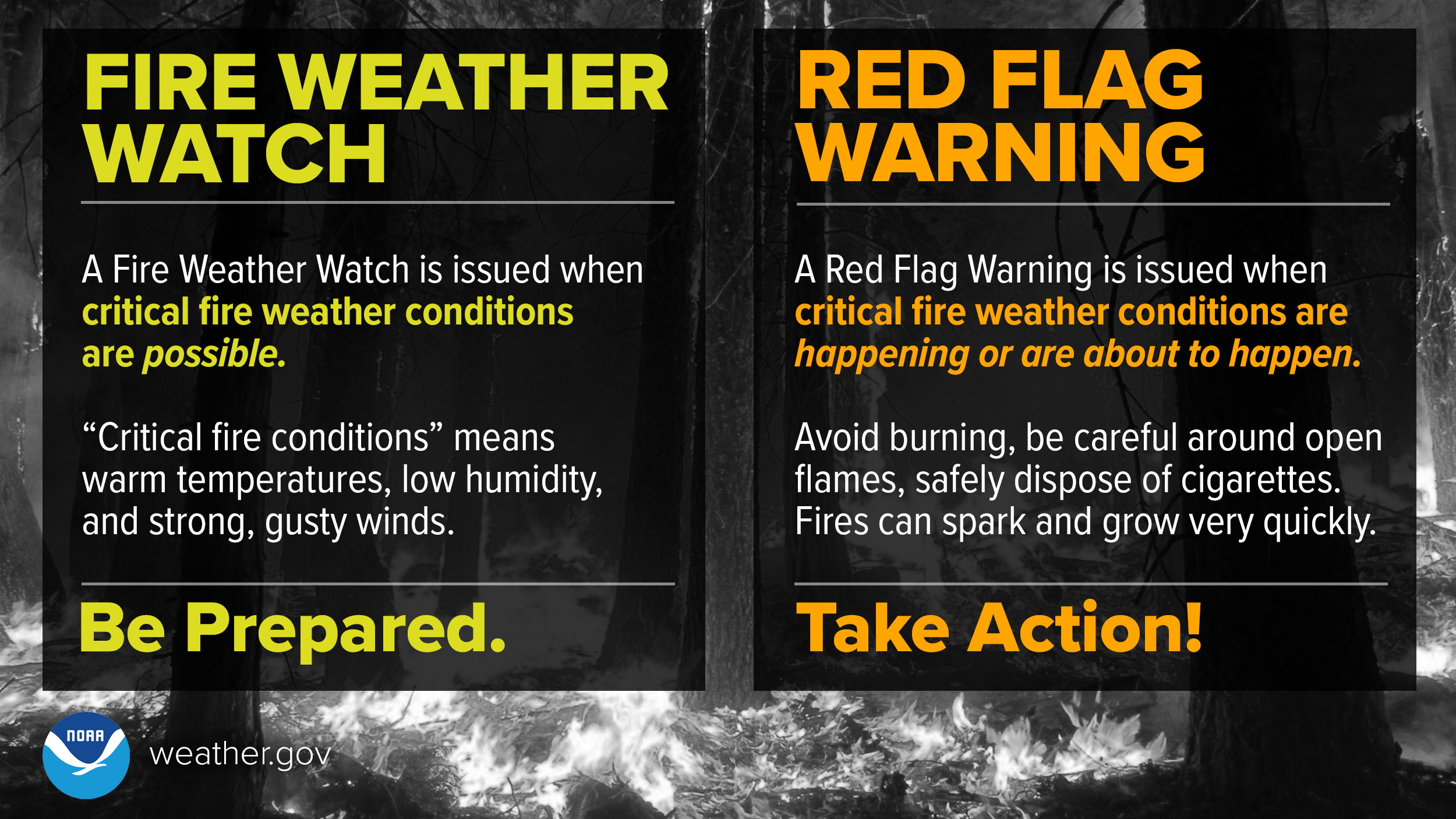 Wildfire Infographics
