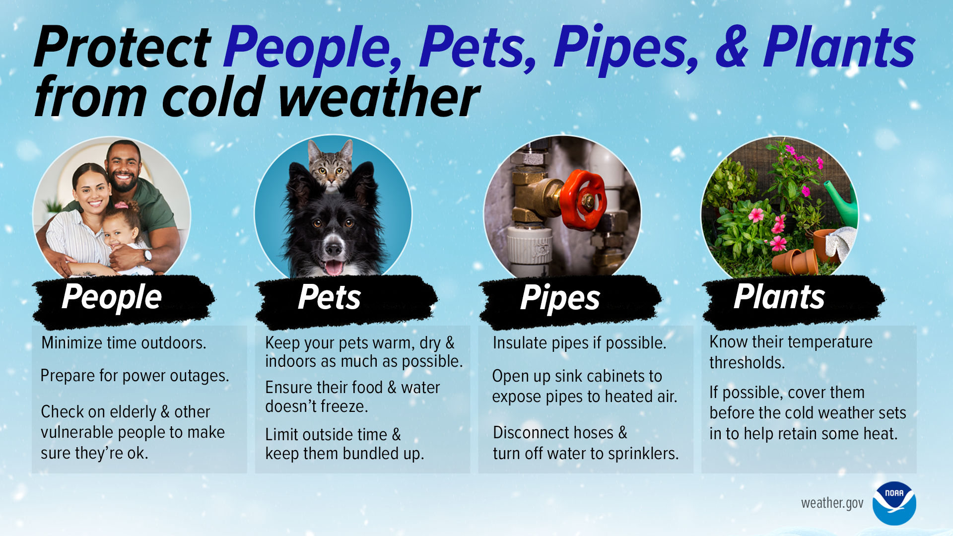 Protect people, pets, pipes and plants from cold weather. People: 1) Minimize time outdoors. 2) Prepare for power outages. 3) Check on the elderly and other vulnerable people to make sure they're ok. Pets: 1) Keep your pets warm, dry and indoors as much as possible. 2) Ensure their food and water doesn't freeze. 3) Limit outside time and keep them bundled up. Pipes: 1) Insulate pipes if possible. 2) Open up sink cabinets to expose pipes to heated air. 3) Disconnect hoses & turn off water to sprinklers. Plants: 1) Know their temperature thresholds. 2) If possible, cover them before the cold weather sets in to help retain some heat.