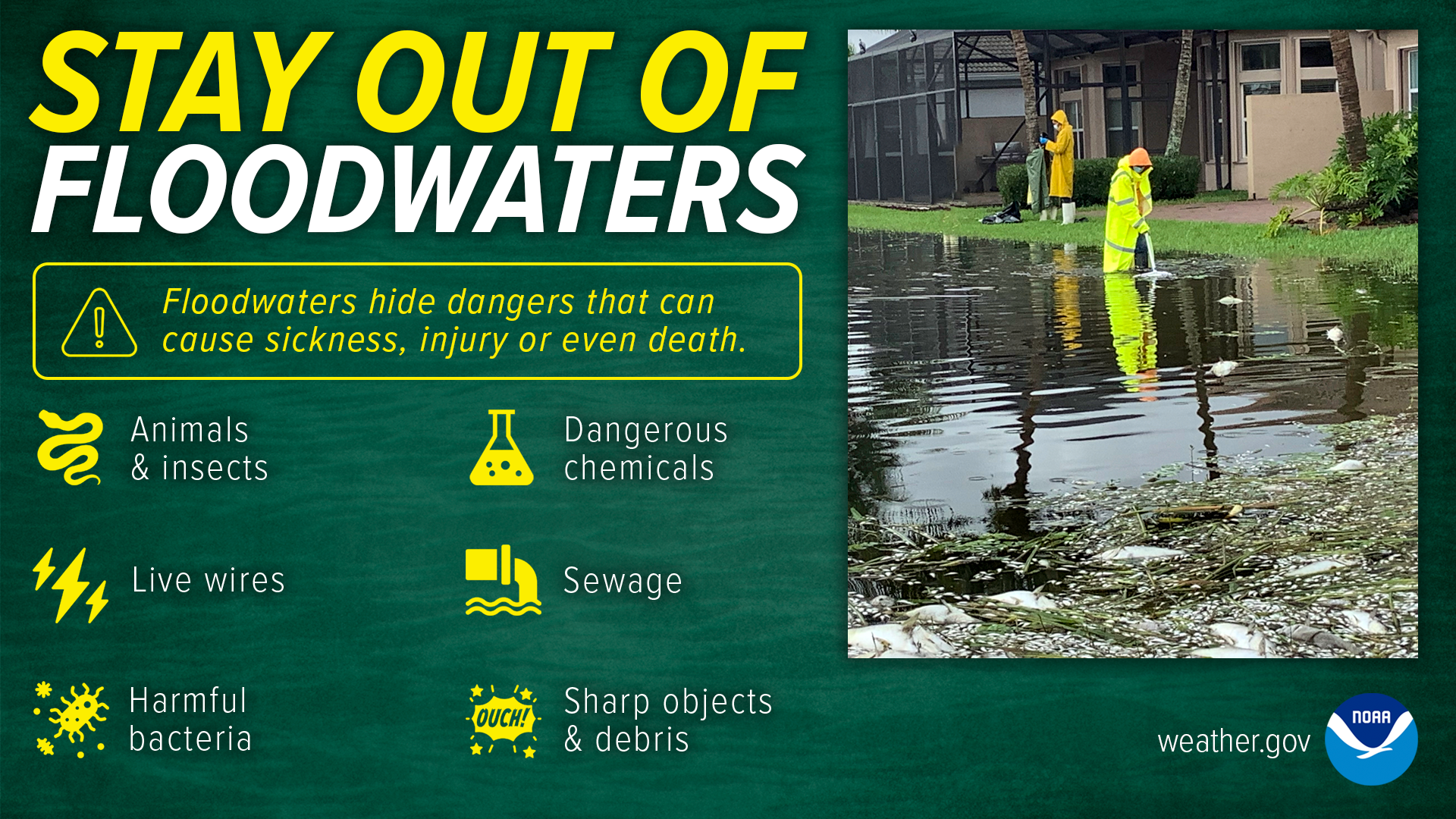 Stay out of floodwaters. Floodwaters hide dangers that can cause sickness, injury or even death, including animals and insects, live wires, harmful bacteria, dangerous chemicals, sewage, and sharp objects and debris.