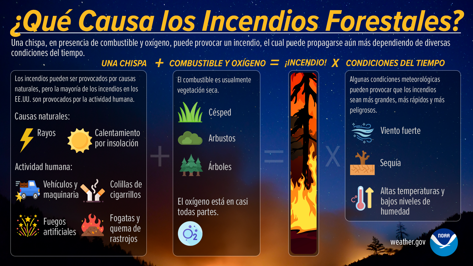 Alerta: Las profundas diferencias entre ser flaite, cuma, cuico