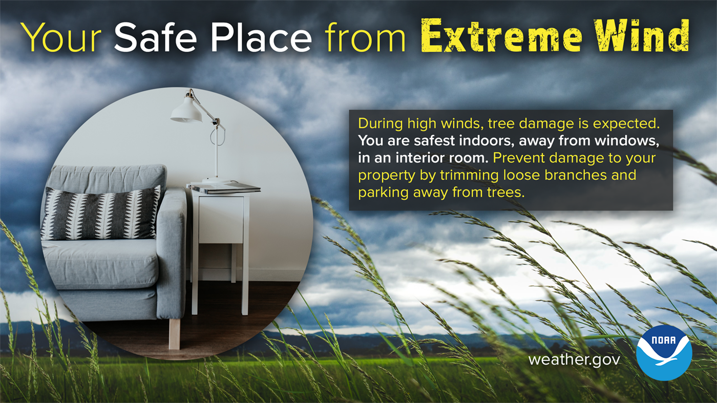 Your safe place from extreme wind: during high winds, tree damage is expected. You are safest indoors, away from windows, in an interior room. Prevent damage to your property by trimming loose branches and parking away from trees.