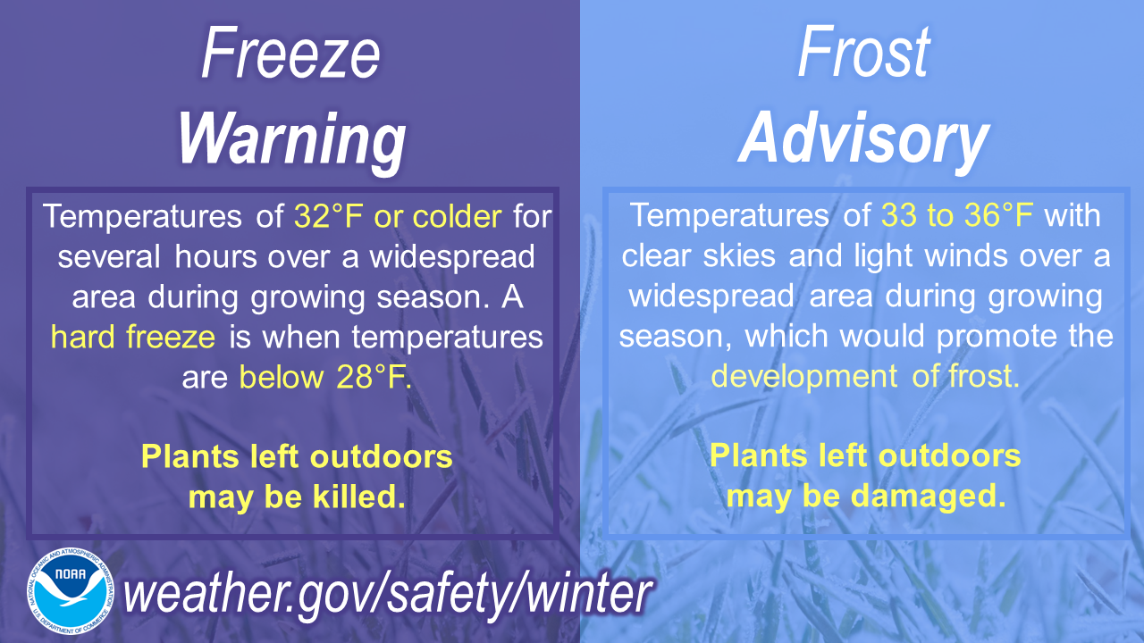 Winter Infographics