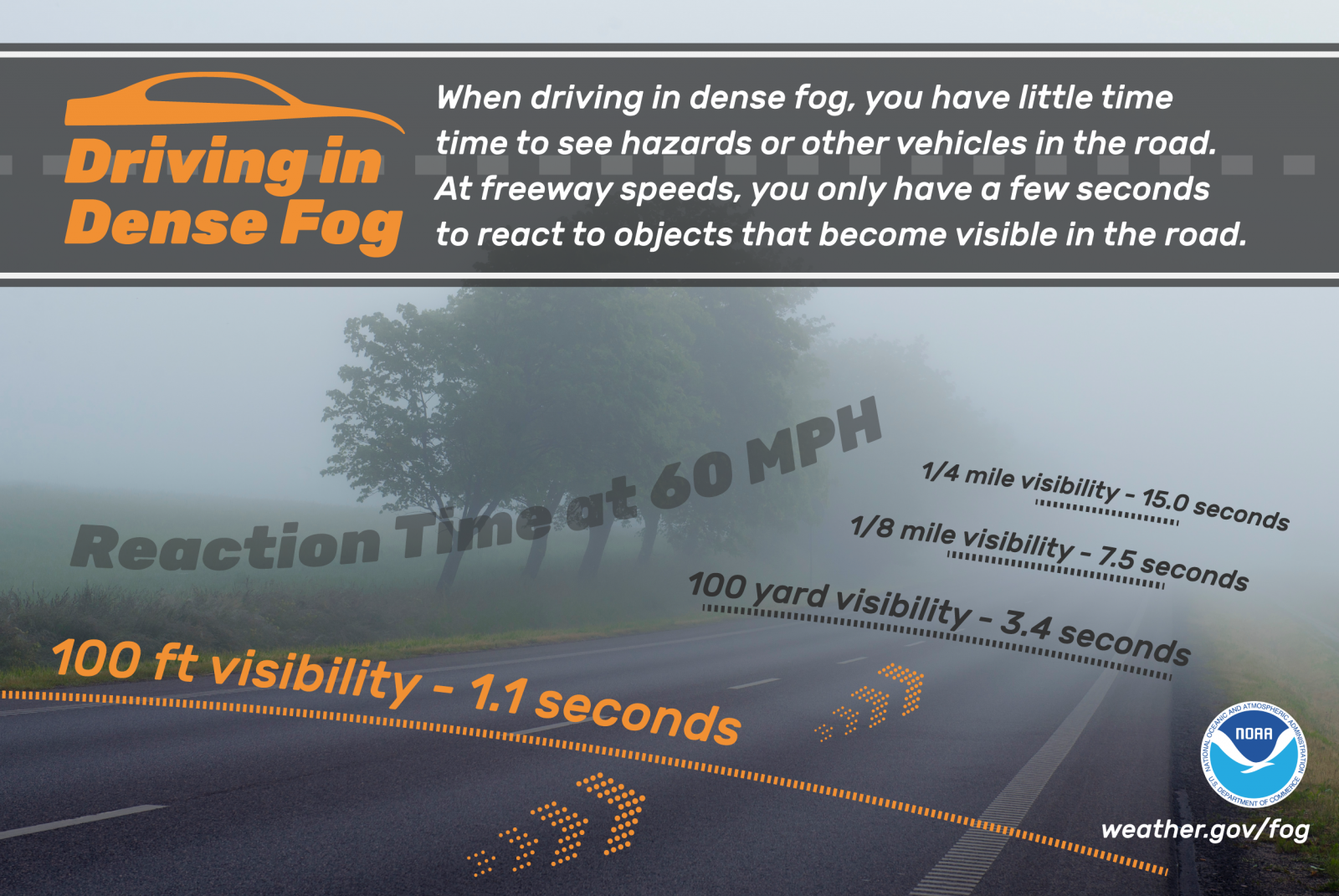 Social Media Fog Safety