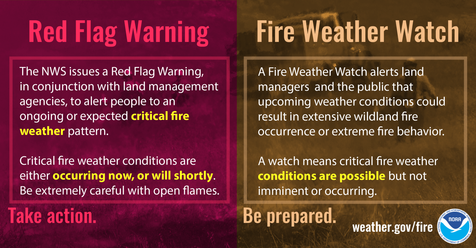 Fall Infographics