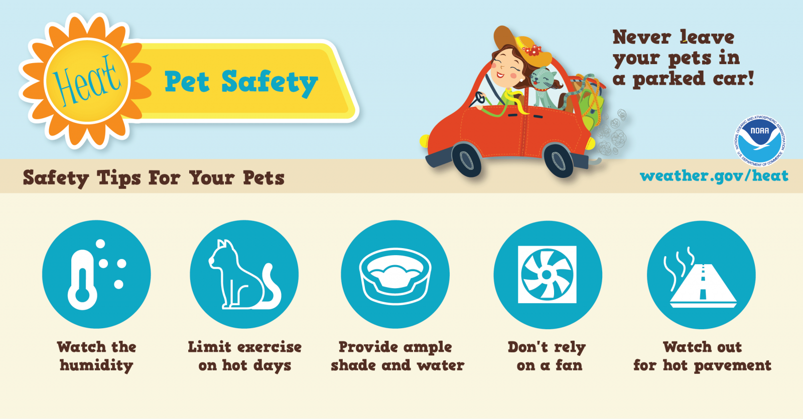 Keep Your Pets Cool During the Dog Days of Summer