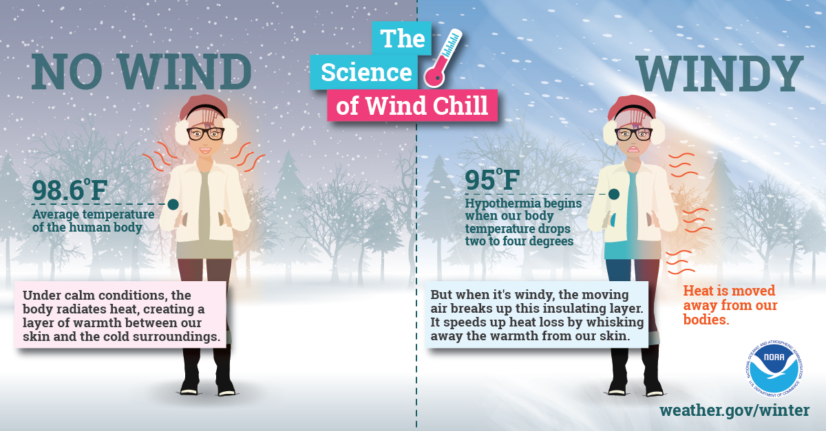 Infographic - The Science of Wind Chill. The average temperature of the human body is 98.6 degrees fahrenheit. Under calm conditions, the body radiates heat, creating a layer of warmth between or skin and the cold surroundings.  But when it's windy, the moving air breaks up this insulating layer. It speeds up heat loss by whisking away the warmth from our skin. Hypothermia begins when our body temperature drops two to four degrees.