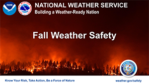 Fall Safety