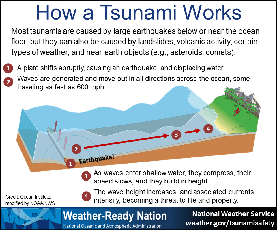 Facts About Tsunamis For Kids