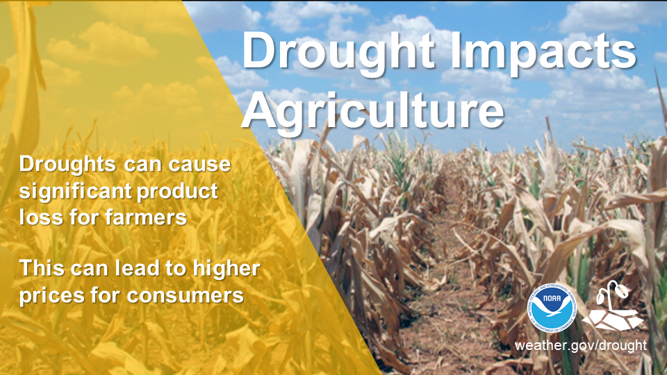 Drought Impacts Agriculture.  Droughts can cause significant product loss for farmers.  This can lead to higher prices for consumers.