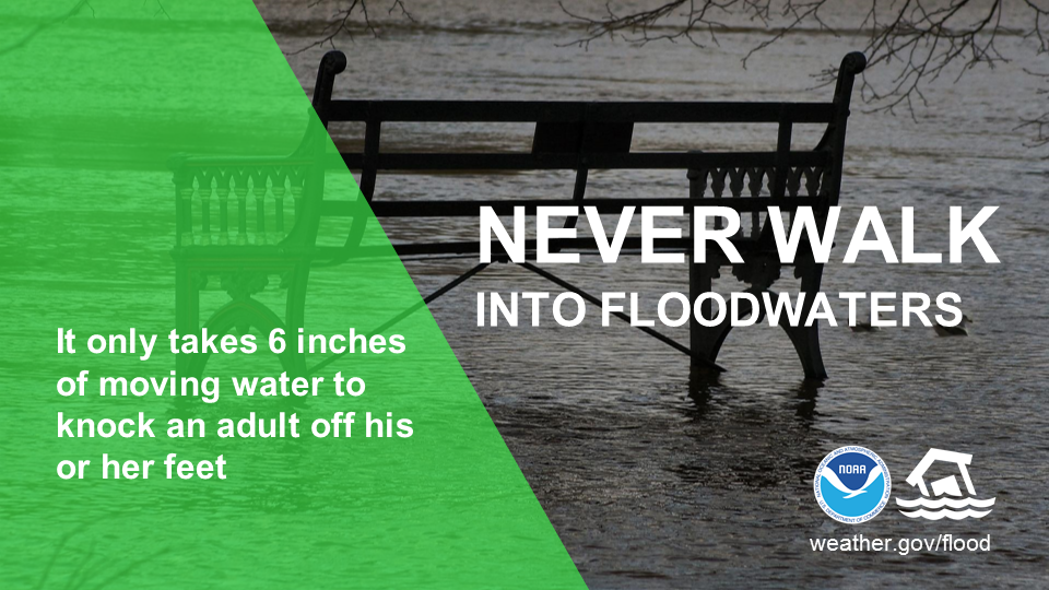 Never walk into floodwaters.  It only takes 6 inches of moving water to knock an adult off his or her feet.