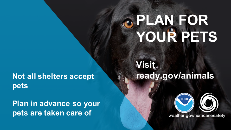 Plan For Your Pets. Not all shelters accept pets. Plan in advance so your pets are taken care of. visit ready.gov/animals
