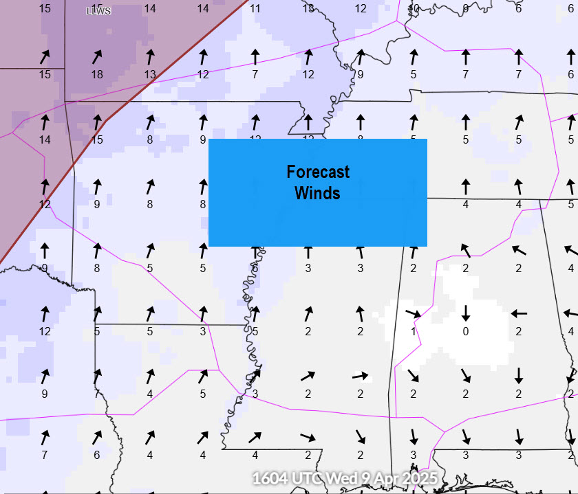 Forecast Winds