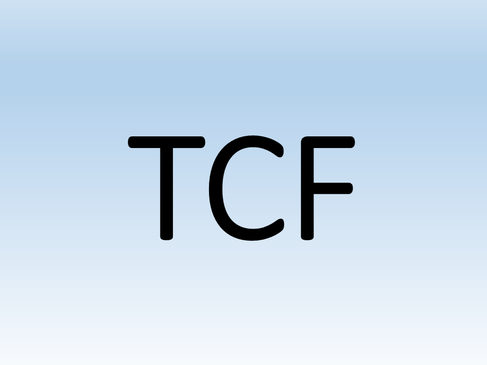 TCF Convective Forecast