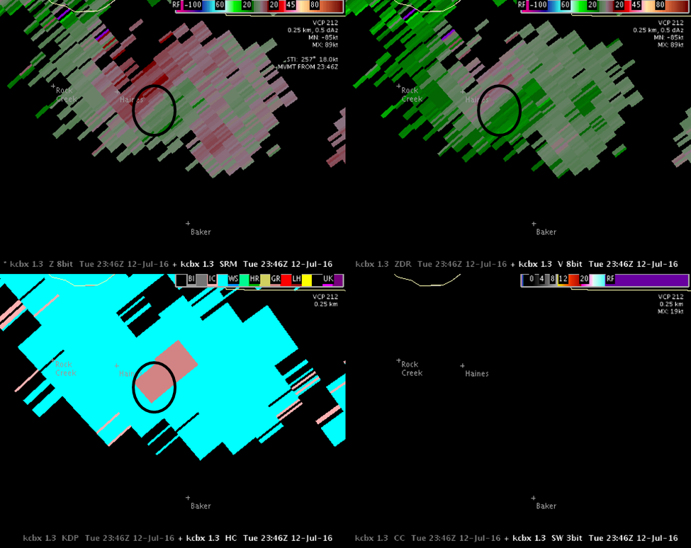 radar pic 2 with circles.png