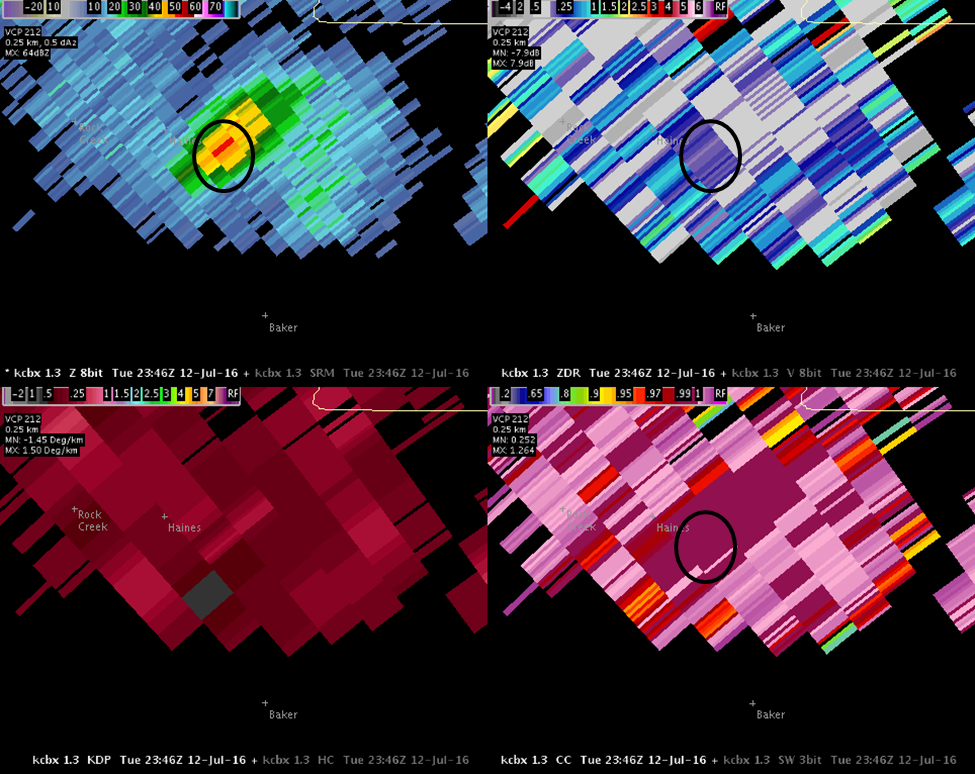 radar pic 1 with circles.png