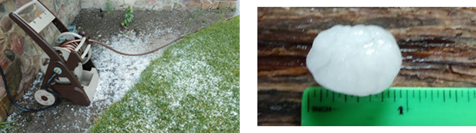 spotter pics.png
