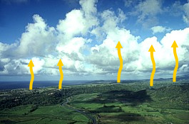 Cumulus clouds show mark where the upward rising convection currents are occurring