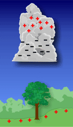 The electric field within a thunderstorm